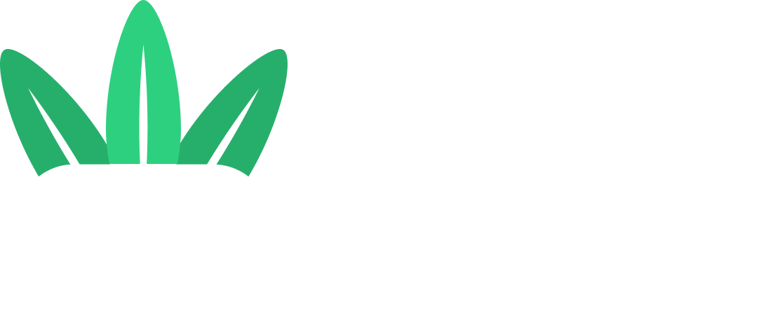 Hostinq الإمارات